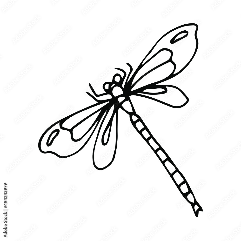 Four-spot skimmer dragonfly. Alaska State symbol. Vector outline icon. Four-spot skimmer dragonfly. Alaska State symbol. Vector outline icon.