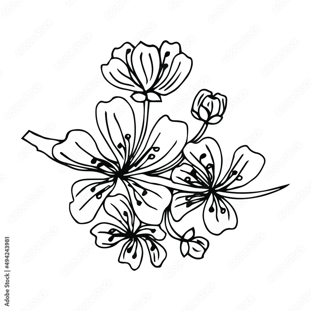 Black hand drawn brush paint sakura branch.Vector stylized decorative silhouette of cherry flowers painted by ink. Isolated on white background.