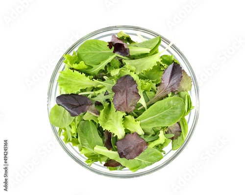 Healthy mixed salad of lettuce varieties in a transparent bowl. The vegetables are green lettuce, red lettuce, romaine lettuce,crisphead and rocket. Top view on white background photo