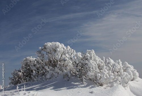 winter snow