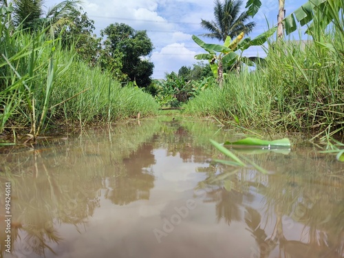 small river with clear clouds and thick grass. photo