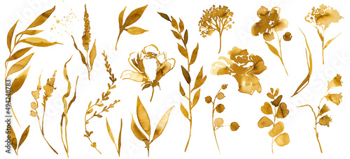 watercolor elements set of garden plants adn flowers golgen yellow. Botanic illustration isolated on white background.