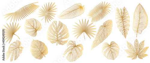 Set tropical gold leaf isolated. Vector illustration. 