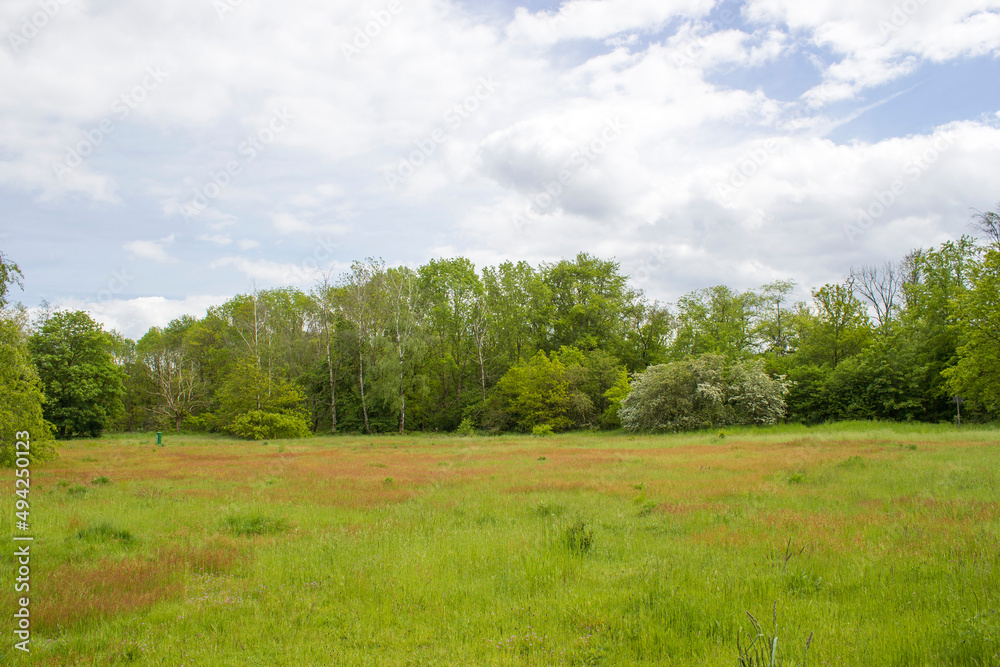 Obraz premium German countryside landscape, Lower Rhine Region, Germany
