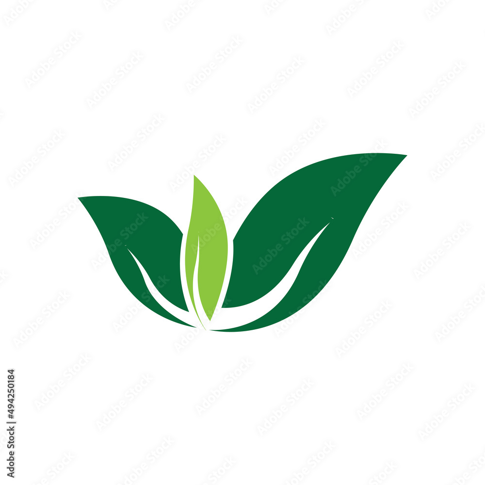 leaf logo vector template ilustration and icon design leaf logo vector template ilustration and icon design