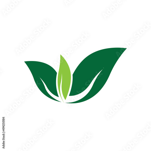 leaf logo vector template ilustration and icon design