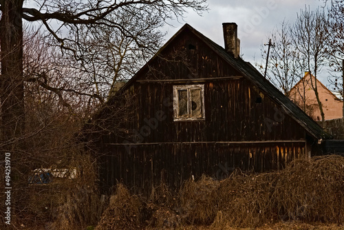 Stary drewniany dom (chata ) z desek , pośród drzew bezlistnych zimą . © Grzegorz