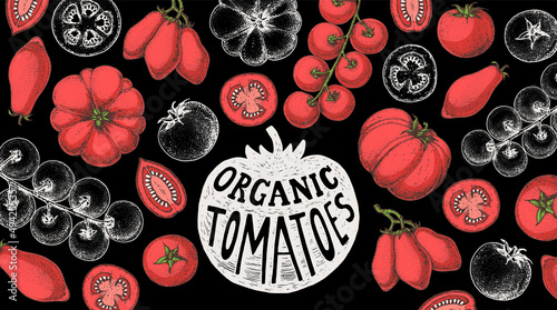 Tomatoes hand drawn illustration. Organic tomato design template. Vector illustration. Healthy food frame. Ketchup package design elements. Tomato vegetable.