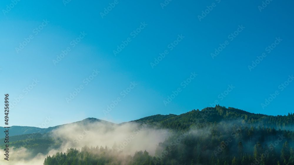 Germany, Magical black forest nature landscape mountains covered with green trees and fog in mystical morning sunrise atmosphere