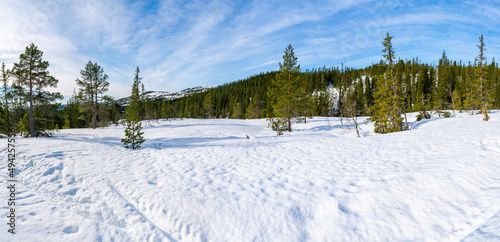 Winter landscape in snow covered Bymarka nature reserve in Trondheim, Norway © beataaldridge