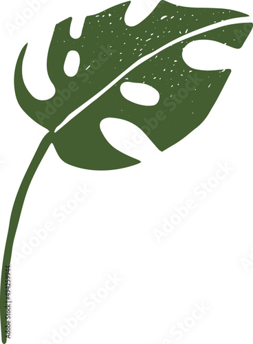 Modern Abstract Monstera Leaf Decorative Element