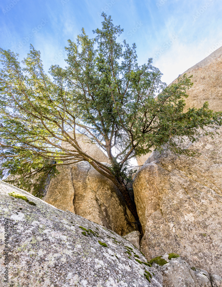 natural park formed by granite rocks called La Pedriza in the Sierra de Guadarrama, Madrid natural park formed by granite rocks called La Pedriza in the Sierra de Guadarrama, Madrid