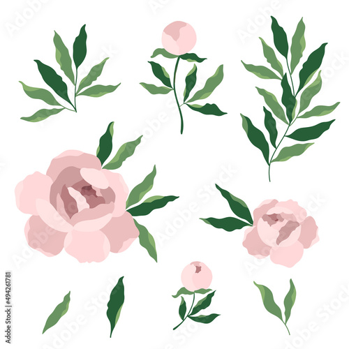pink bouquet peony flower and leaves, vector drawing set clipart