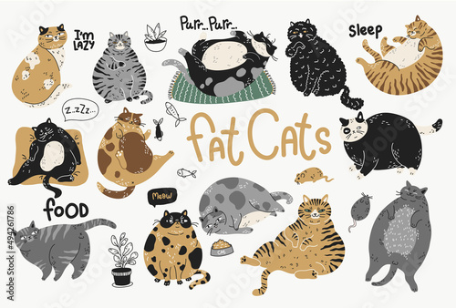 fat lazy cats, vector illustration, color set in poses
