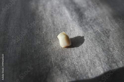Child's milk tooth lying on the bed. The child has lost a milk tooth. Close-up.
