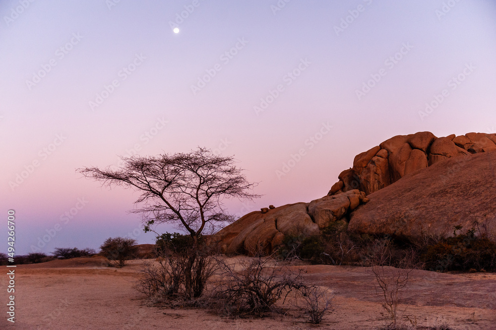 A bright full moon accentuates a red glowing desert and a pink sky. Namibian desert near Spitzkoppe.