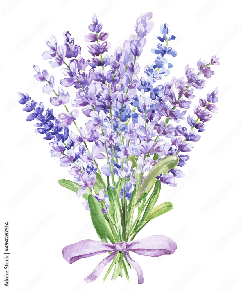 Watercolor bouquet of lavender flowers with ribbon. Watercolor bouquet of lavender flowers with ribbon.