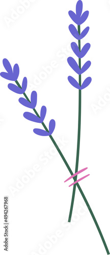 Lavender Flower Sprigs Cartoon Illustration
