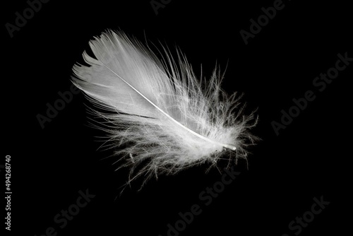 white duck feathers isolated on black background