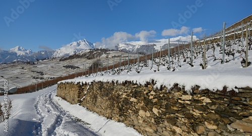 Sion, vignoble de Clavau en hiver photo