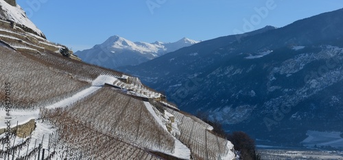 Sion, vignoble de Clavau en hiver photo