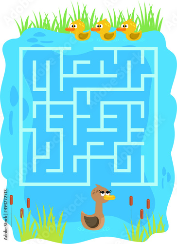 Maze,  vector, illustration, labyrinth, puzzle, arrow, game, puzzle page for duck-themed kids