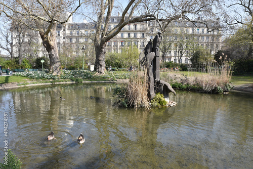 Oies grises au parc des Batignolles à Paris. France photo