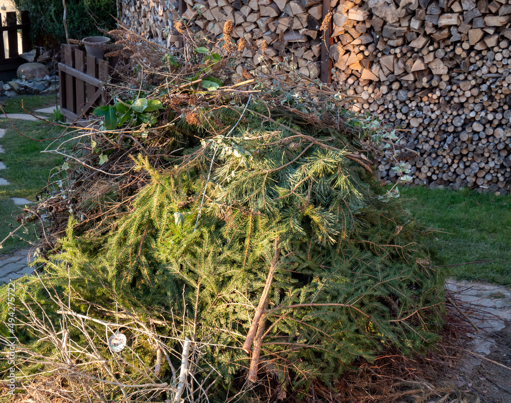 Gartenabfälle zum Verbrennen im eigenen Garten Stock Photo Adobe Stock