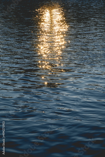 Beautiful golden reflections of sunlight over Calle-calle river at sunset in Valdivia, Chile