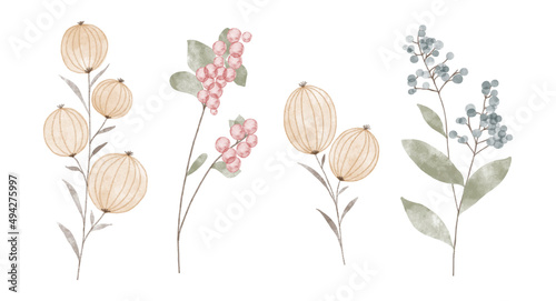 Set of watercolor trendy plants. Vector illustrations for web, app and print. Elegant feminine shapes floristic isolated wild berries flowers. Garden, botanical, minimalistic floral elements.