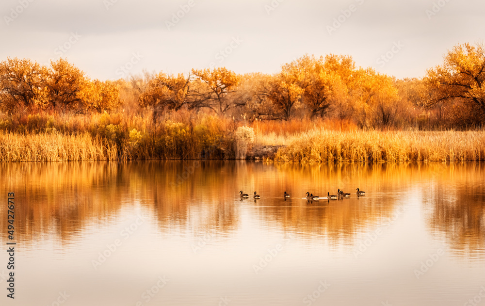 Obraz premium Autumn Scenic View
