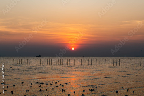 Sunset in the evening with beautiful landscape  mix with some Seagulls flying around.