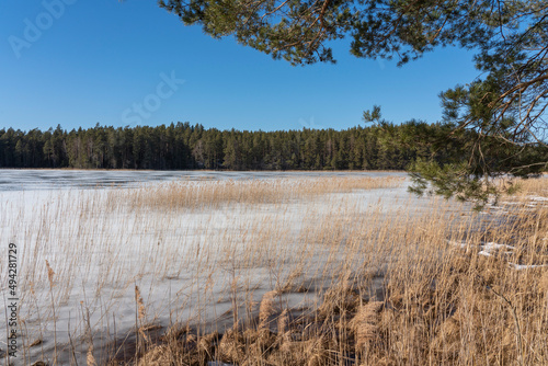Wallpaper Mural Scenic view of the lake in sunny spring Torontodigital.ca