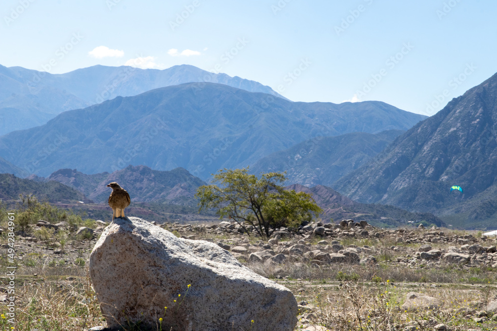 mountains of Mendoza, Argentina mountains of Mendoza, Argentina