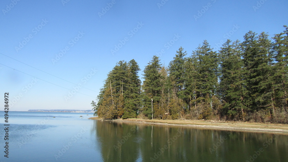 Obraz premium trees and water