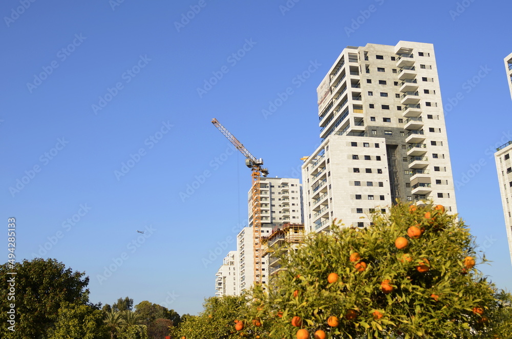 Construction site and crane. Orange trees around new houses. Modern residential buildings. New cozy quarters. Construction site and crane. Orange trees around new houses. Modern residential buildings. New cozy quarters.