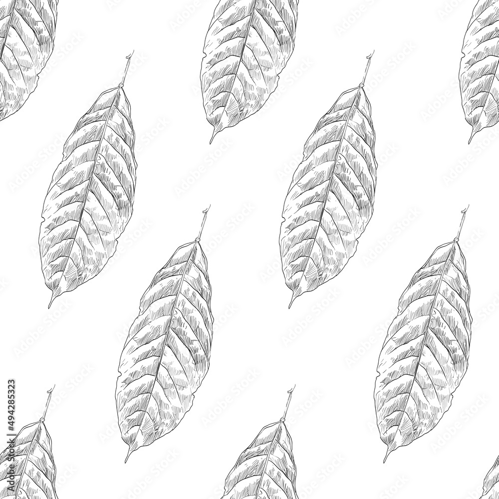 Seamless cocoa leaves ornament pattern backgrounds. Wallpaper template design. Hand drawn vector illustration.