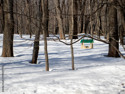 Table for birds in the winter forest. Bird feeders among the trees on a winter day. Feeding trough for hungry birds in long and cold winters.