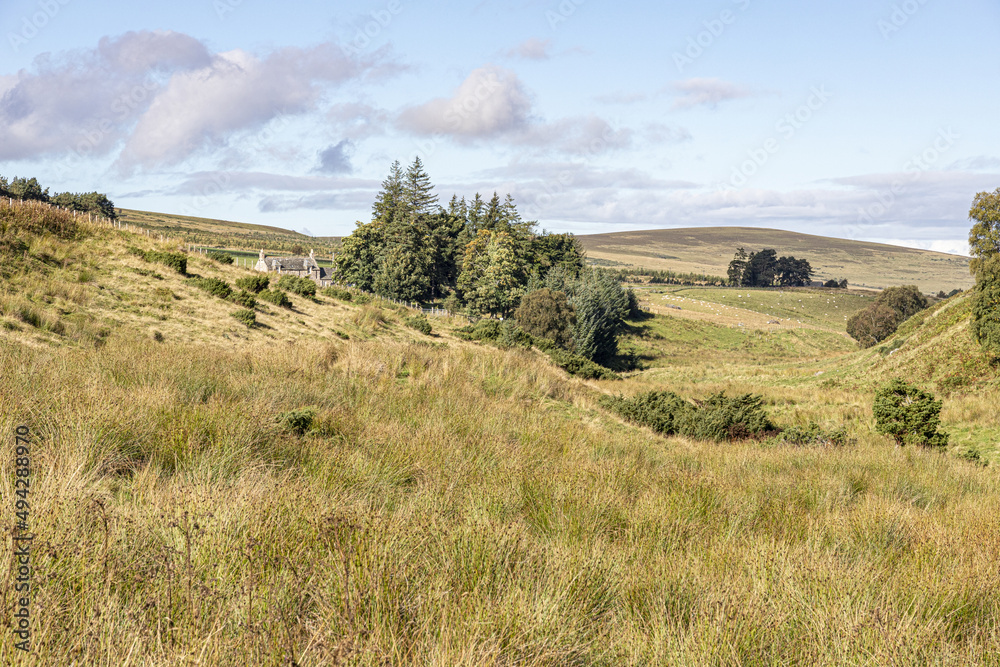 Obraz premium The valley of Conglass Water at Blairnamarrow near Tomintoul, Moray, Scotland UK.