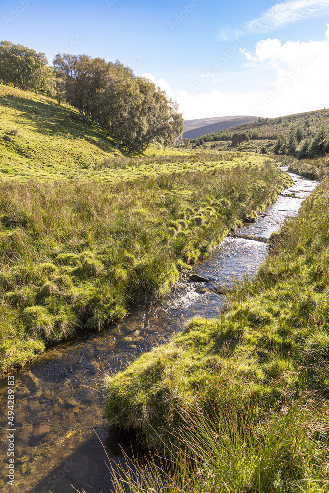 The valley of Conglass Water at Blairnamarrow near Tomintoul, Moray, Scotland UK.