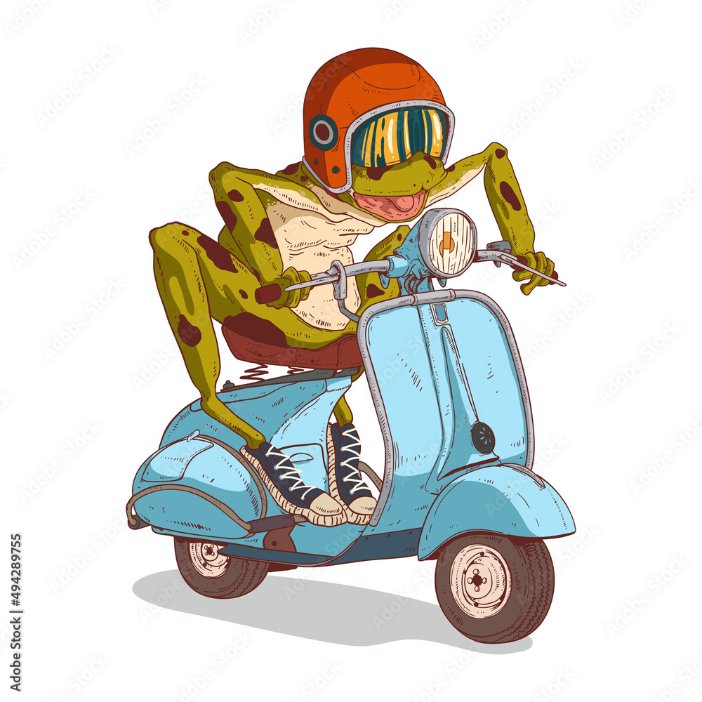 A Crazy Frog Racer, isolated vector illustration. Excited anthropomorphic  frog with its mouth open, wearing a moto helmet riding a retro scooter.  Humanized toad. An animal character with a human body. Stock-Vektorgrafik