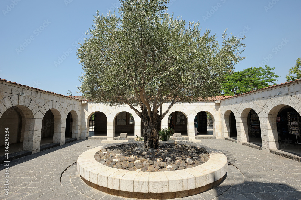 Tabgha, place of the miracle of the multiplication of the loaves and fishes
