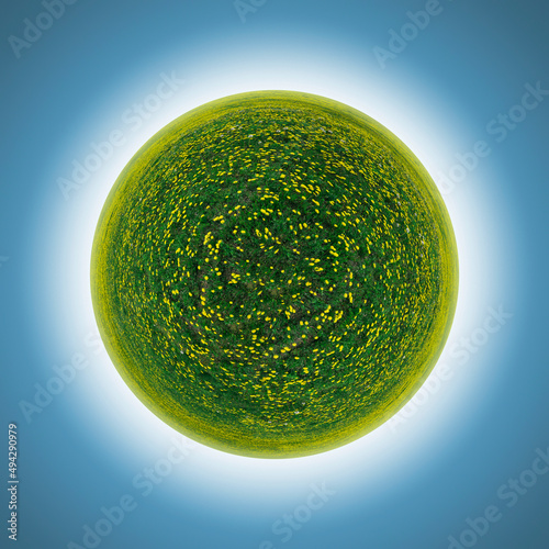 flowers and grass, green ti...