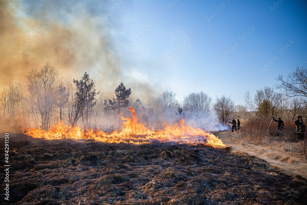 Fototapeta premium Feldbrand und Waldbrand nach langer Trockenheit