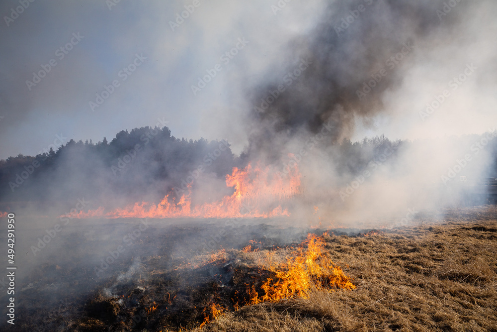 Feldbrand und Waldbrand nach langer Trockenheit Feldbrand und Waldbrand nach langer Trockenheit
