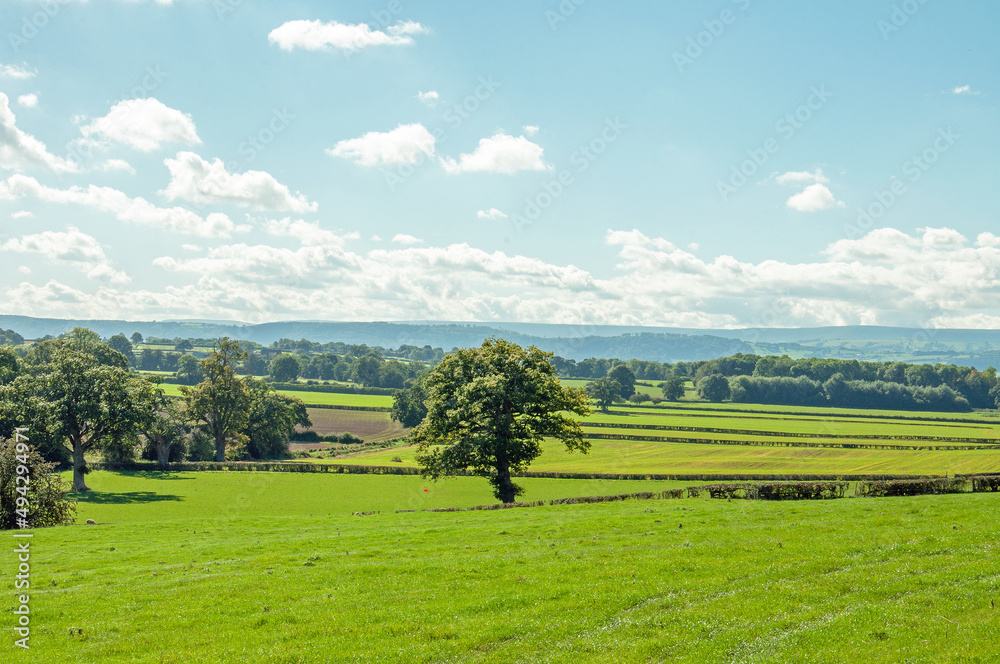 Summertime landscape in the UK.