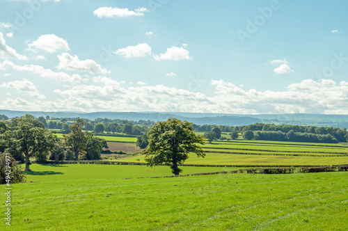 Summertime landscape in the UK. © Jenn's Photography 