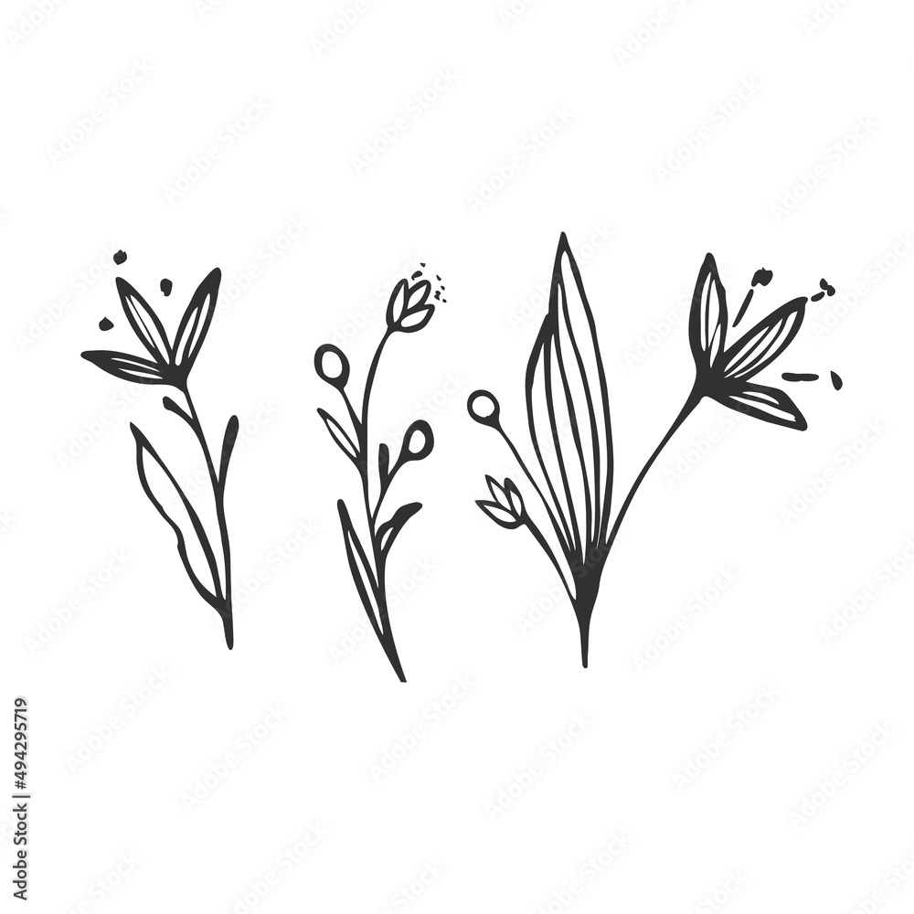 Naklejka premium Hand drawn flower and branches doodle, Vector illustration