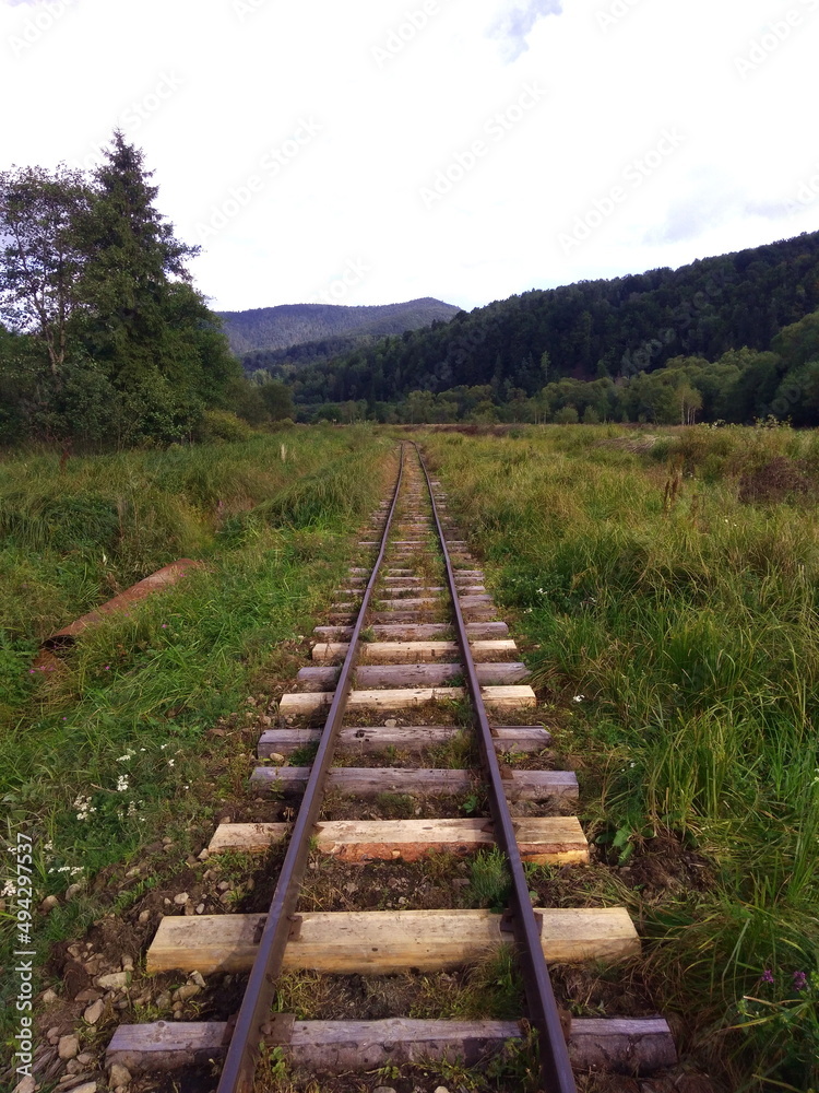 Fototapeta premium Railway to the mountains