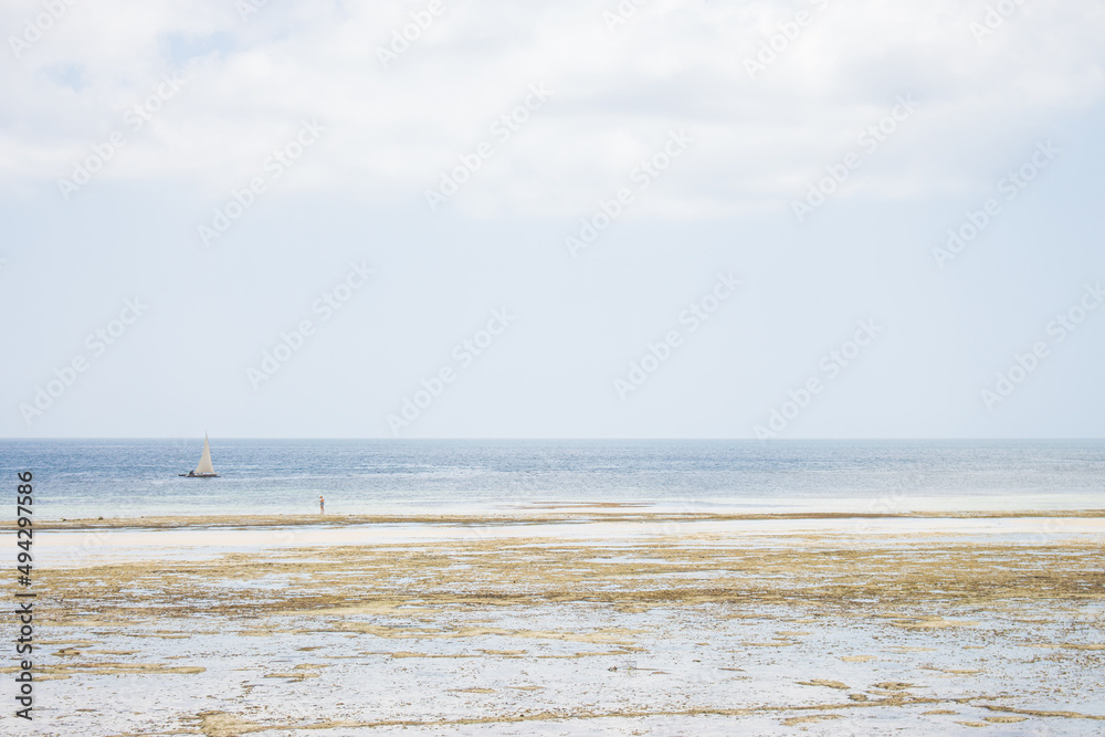 Yacht with white sail on the beach on tropical background. Sailboat at seaside. Low tide in lagoon. Exotic nature. Nautical vessel on coastline. Indian Ocean coast with boat. Tropical travel.